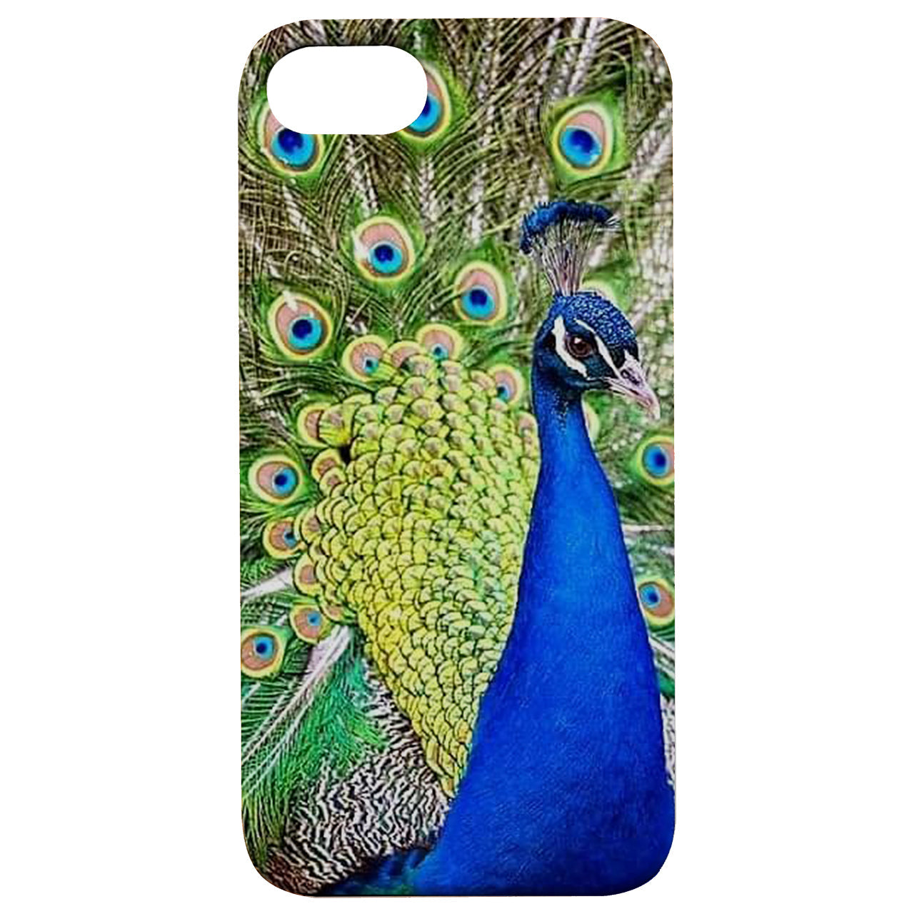 Peacock - UV Color Printed