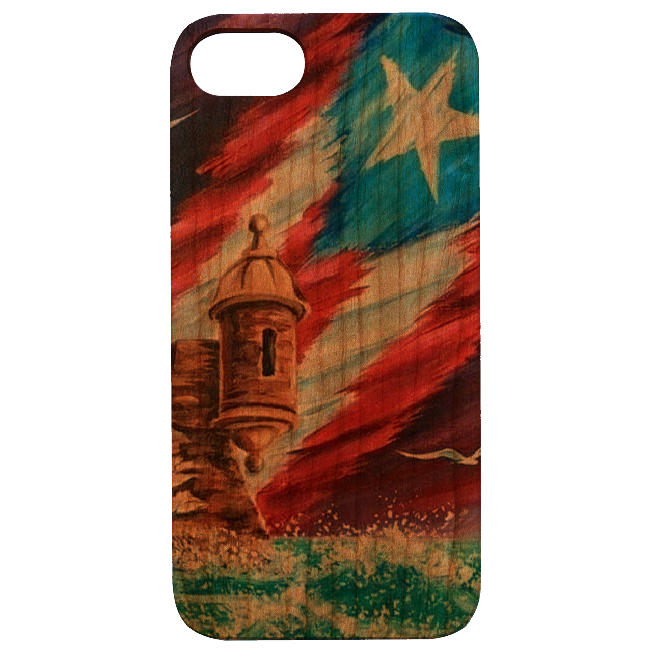 Puerto Rico Art - UV Color Printed